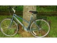 ridgeback velocity 2012